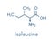 Isoleucine L-isoleucine, Ile, I amino acid molecule. Skeletal formula.