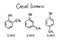 Isomers of Cresol Molecule Formula Hand Drawn Imitation