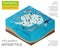 Isometric 3d Antarctica flora and fauna map elements. Animals, b