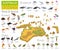 Isometric 3d Australia and Oceania flora and fauna map elements.