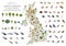 Isometric 3d design of United Kingdom wildlife. Animals, birds and plants constructor elements isolated on white set. Build your o