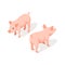 Isometric 3d vector illustration of small pink cute pig