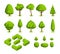 Isometric 3d vector park and garden trees and bushes. Green forest plants collection