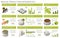 Isometric Biofuel Production Infographics