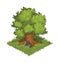 Isometric Cartoon Gigantic Oak Tree, Green and Bushy - Element for Tileset Map or Landscape Design