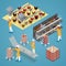 Isometric Chicken Farm Poultry. Organic Eggs Production Line