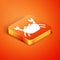 Isometric Crab icon isolated on orange background. Vector.