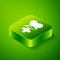Isometric Ethnoscience icon isolated on green background. Gardening, ethnoscience and organic concept. Green square