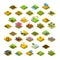 Isometric Farm 3D Building Icon Collection Vector Illustration