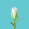 Isometric flower bud, flat