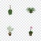 Isometric Flower Set Of Fern, Blossom, Grower And Other Vector Objects. Also Includes Flowerpot, Flower, Blossom Elements.
