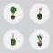 Isometric Flower Set Of Grower, Blossom, Tree And Other Vector Objects. Also Includes Flower, Plant, Blossom Elements.