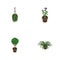 Isometric Flower Set Of Tree, Flower, Blossom And Other Vector Objects. Also Includes Pot, Fern, Blossom Elements.