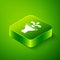 Isometric Fountain icon isolated on green background. Green square button. Vector