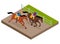 Isometric galloping race horses in racing competition competing with each other. Vector illustration. Equestrian sport