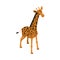 Isometric Giraffe Illustration