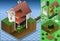 Isometric house with bio fuel boiler