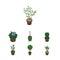 Isometric Houseplant Set Of Houseplant, Peyote, Tree And Other Vector Objects. Also Includes Cactus, Pot, Blossom