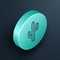 Isometric line Cactus icon isolated on black background. Turquoise circle button. Vector