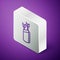 Isometric line Quiver with arrows icon isolated on purple background. Silver square button. Vector