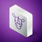 Isometric line Rhinoceros icon isolated on purple background. Animal symbol. Silver square button. Vector