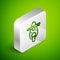 Isometric line Scooter icon isolated on green background. Silver square button. Vector