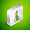 Isometric line Sitar classical music instrument icon isolated on green background. Silver square button. Vector