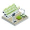 Isometric modern smart industrial greenhouse. Artificial intelligence robots in agricultural. Organic food, agriculture