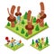 Isometric Outdoor Activity. Rope Park and Barbeque. Healthy Lifestyle and Recreation