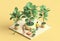 Isometric perspective graphics. Shows air-purifying plants in pots and people.