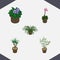 Isometric Plant Set Of Grower, Houseplant, Flowerpot And Other Vector Objects. Also Includes Fern, Flowerpot, Flower