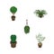 Isometric Plant Set Of Tree, Blossom, Fern And Other Vector Objects. Also Includes Blossom, Flower, Peyote Elements.