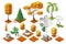 Isometric plants forest collection set. Fall trees and stones.