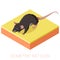 Isometric rat icon on a square ground