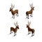 Isometric reindeers. Vector illustration decorative design