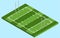 Isometric Rugby field in vector