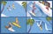 Isometric scenes for surf school. Long wave, palms, blue sea water. Concept extreme sport outdoor people surfers. Illustrations