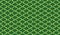 Isometric seamless pattern. Net lines background.