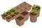 Isometric seedling transplanting process. Young vegetable seedlings of transplanting into peat pots using garden tools
