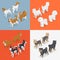 Isometric Small Dog Breeds with Jack-Russell Terrier, Corgi and West Highland Terrier
