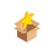 Isometric star icon in box