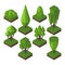 Isometric tree vector illustration.