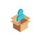 Isometric user icon in box