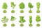 Isometric vector trees for the forest, park, city.3D trees. Landscape constructor icons for games, map, print