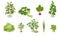 Isometric, vegetable garden. Cabbage, salad, zucchini, carrot, onion, beet, cucumber, potato and tomato isolated on