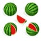 Isometric watermelon and pieces of refreshing watermelon on a white background.
