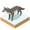 Isometric wolf icon with a square ground