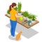 Isometric woman grows flowers in home garden. Planting flowers. Nature concept. Earth day concept. Dive flower sprouts