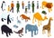 Isometric Zoo Icon Set