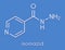 Isoniazid isonicotinylhydrazine, INH tuberculosis antibiotic, chemical structure Skeletal formula.